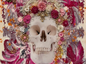Tropical Hermes Skull