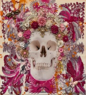 Tropical Hermes Skull