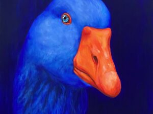 Blue Goose