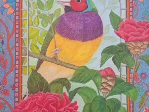 Exotic Finch