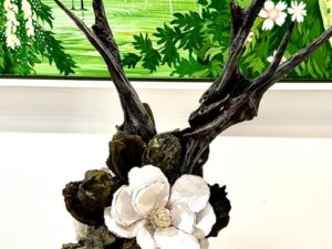 Magnolia and Cypress Roots