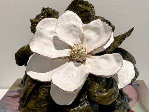 Magnolia medium