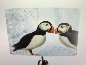Puffin