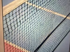 Hylton Centre Court Blue