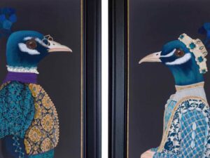 Kelly Stevens McLaughlan The Vain Optician