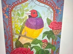 Bessant Exotic Finch