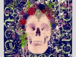 Schremmer Tropical Hermes Skull